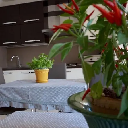 Residenza il Cacao-2